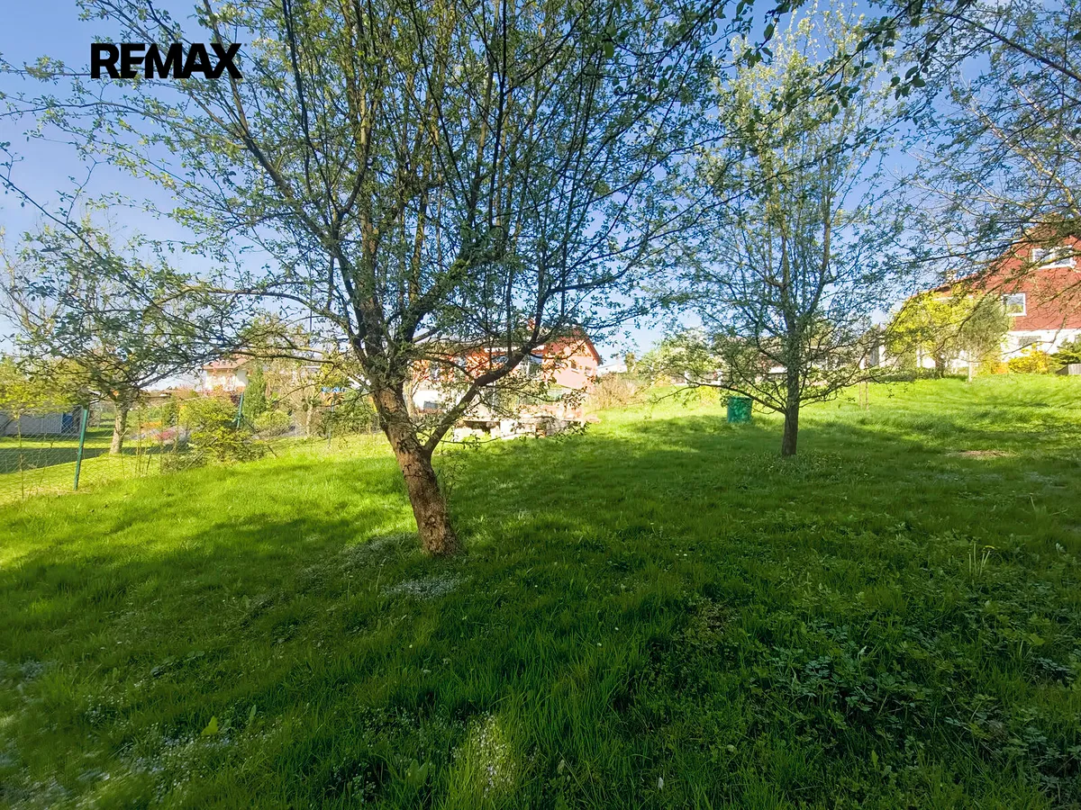 Fotka 5 z 14